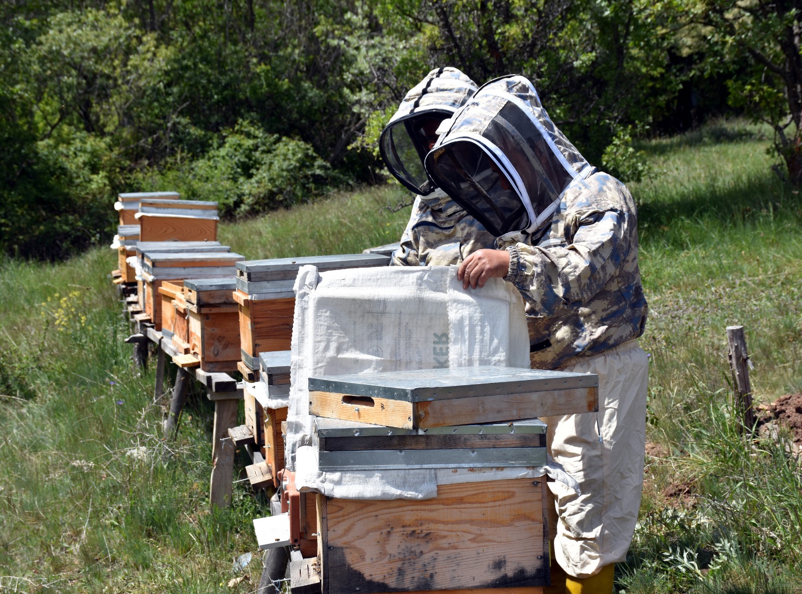 Arıcılar Kırıkkale’de Devlet Desteğiyle Bal Üretiyor (6)