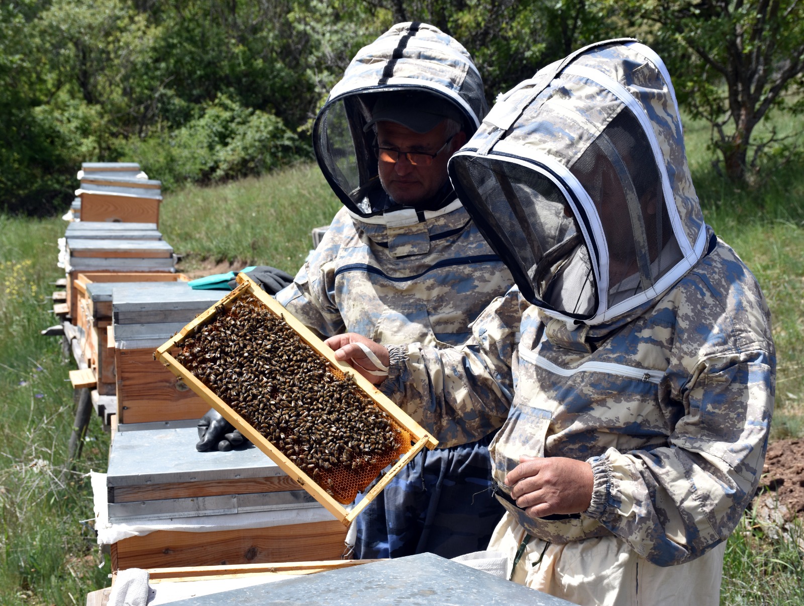 Arıcılar Kırıkkale’de Devlet Desteğiyle Bal Üretiyor (9)