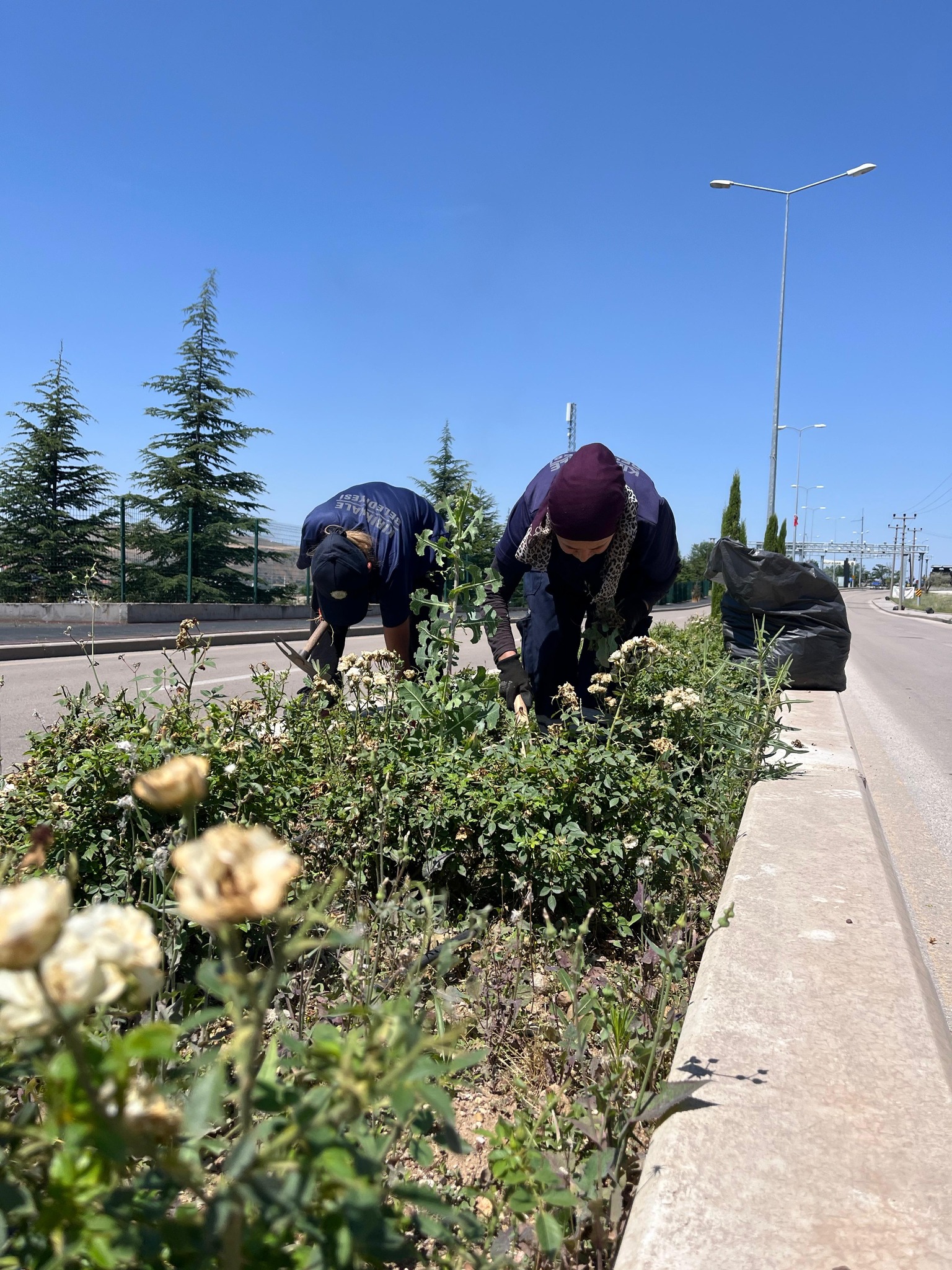 Kırıkkale, Çiçeklerle Renkleniyor (1)