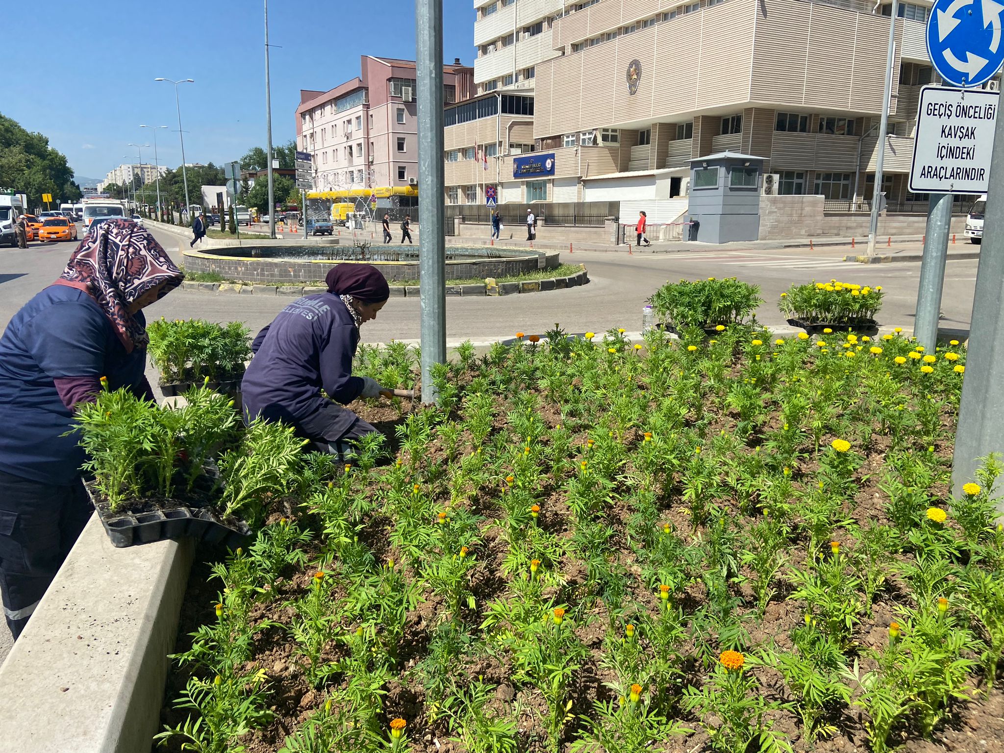 Kırıkkale, Çiçeklerle Renkleniyor (2)