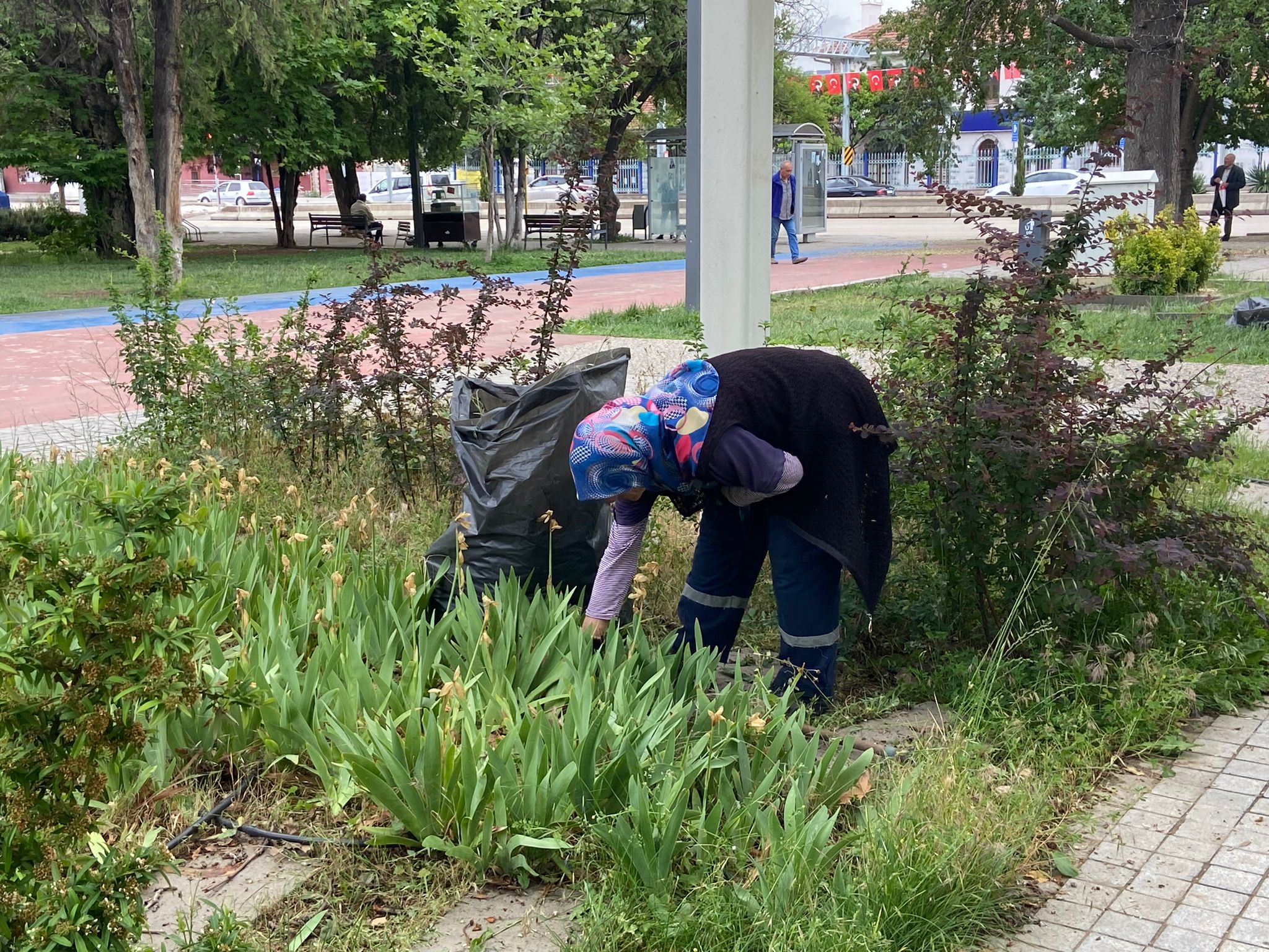 Kırıkkale, Çiçeklerle Renkleniyor (4)