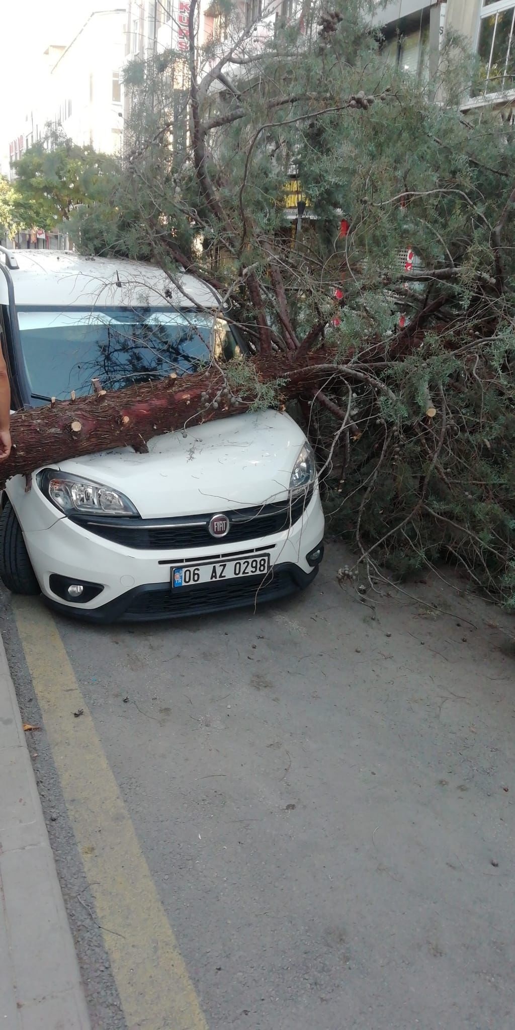 Kırıkkale’de Faciaya Ramak Kaldı! En Kalabalık Caddede Ağaç Devrildi (1)