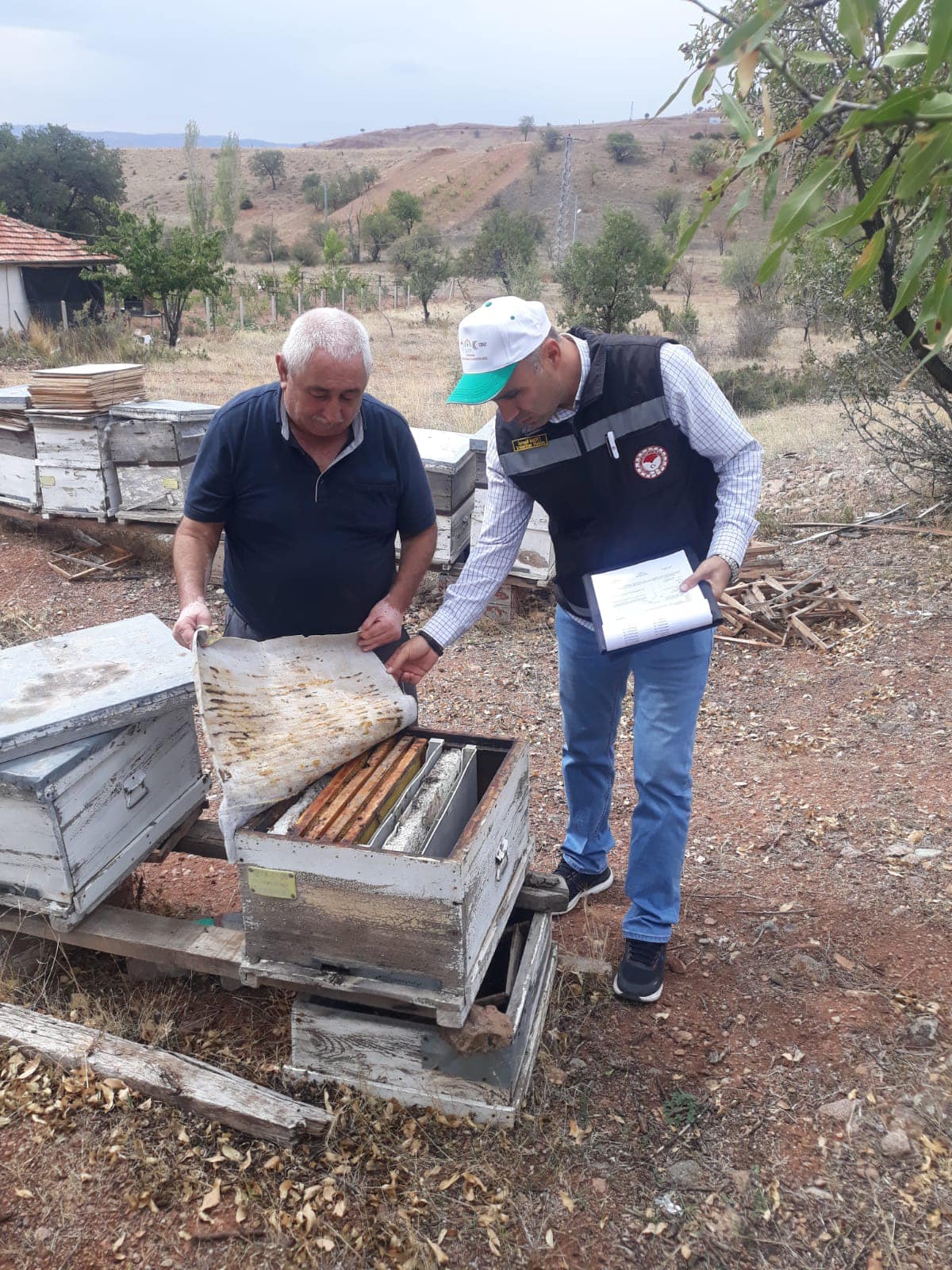 Kırıkkale’de Arı Kovanları Denetlendi (1)