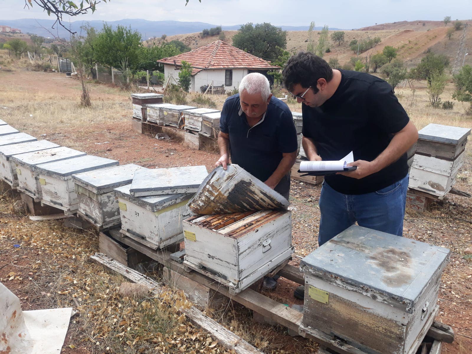 Kırıkkale’de Arı Kovanları Denetlendi (2)