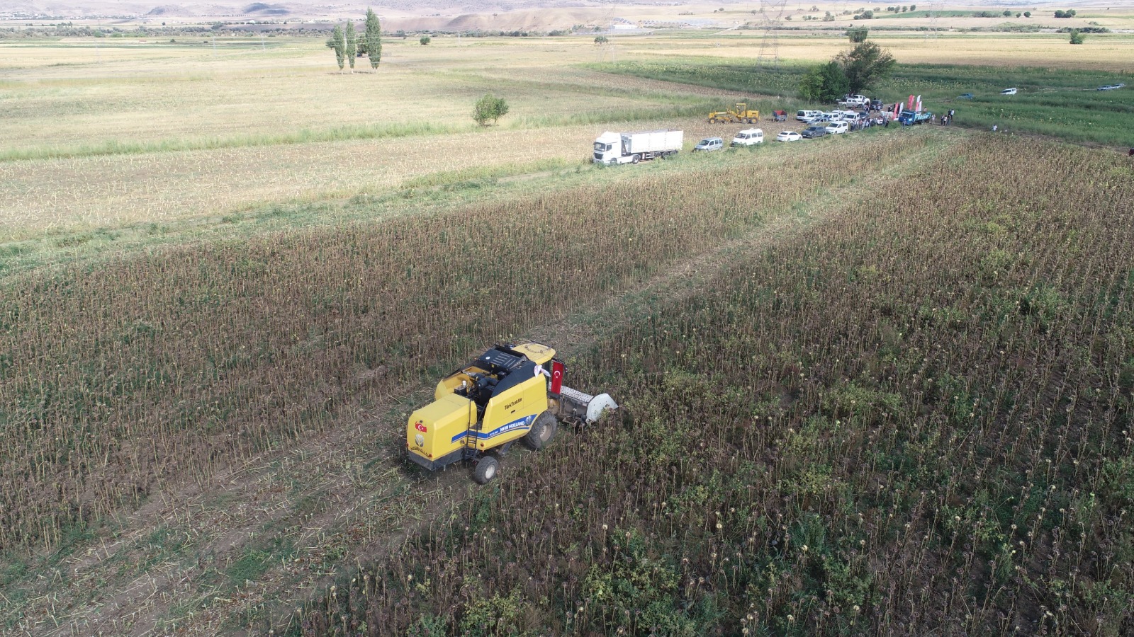 Kırıkkale’de Ay Çekirdeği Hasadı Yapıldı (4)