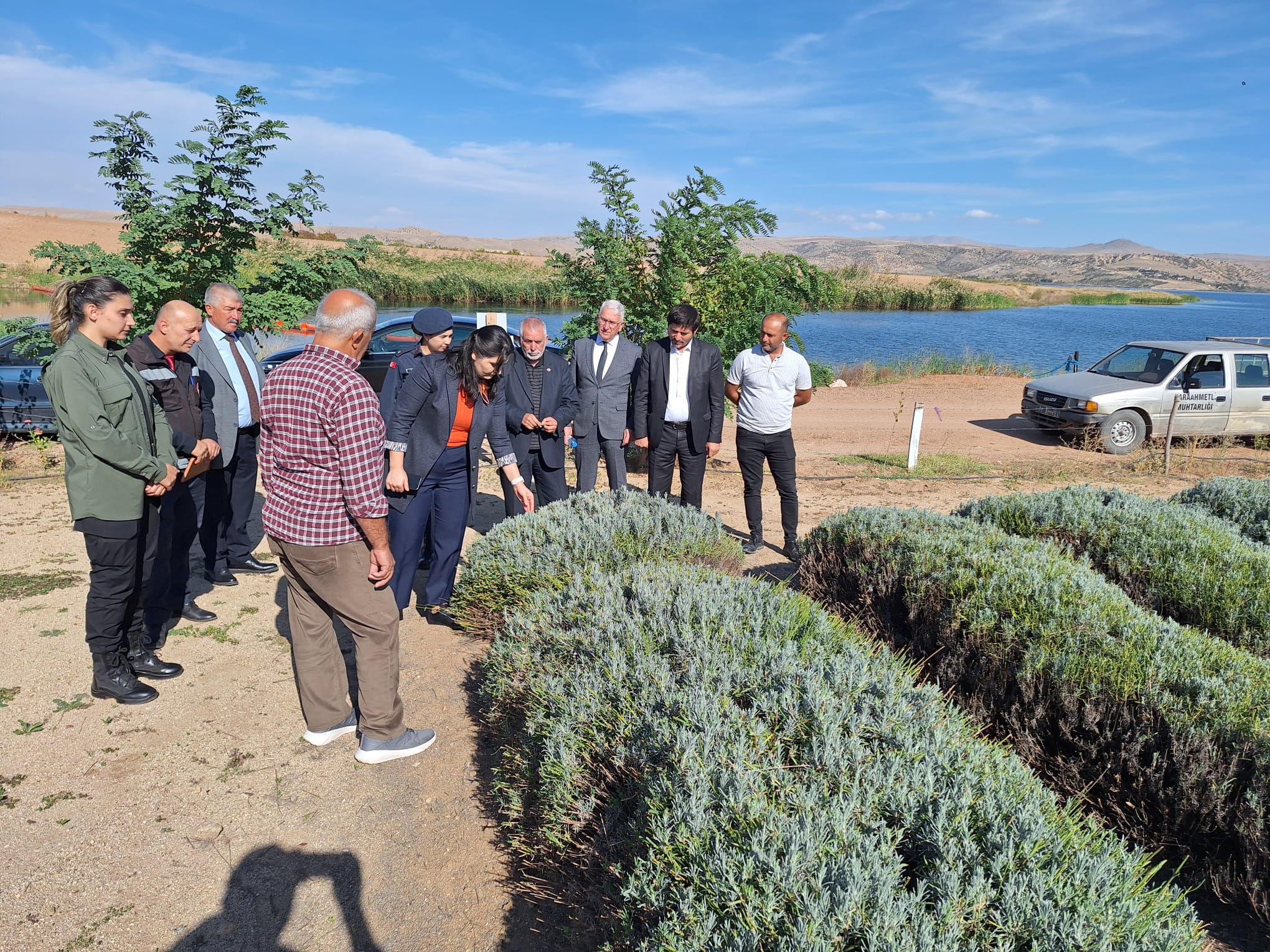 Bahşılı’da Kabak Çekirdeği Hasadı (1)