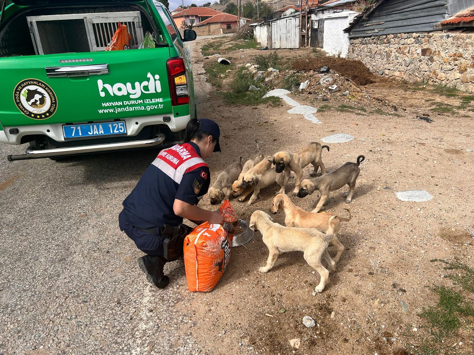 Kırıkkale’de Öğrencilere Hayvan Sevgisi Aşılandı (2)