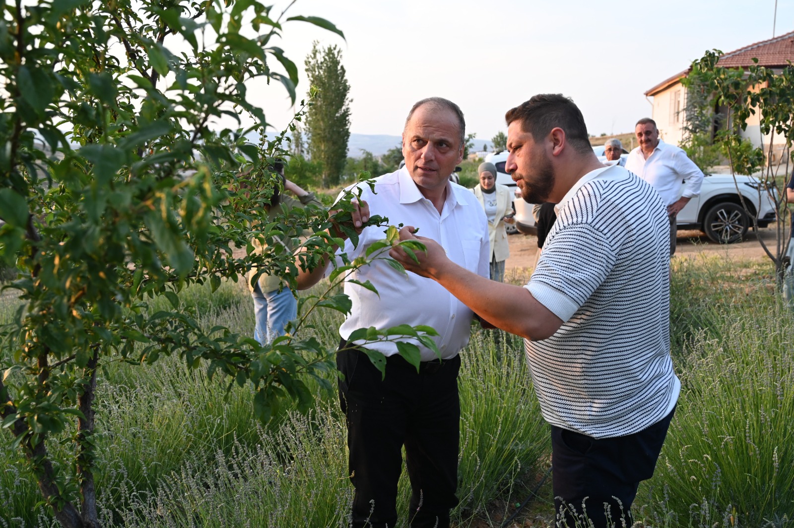 Koy Ziyareti (13)