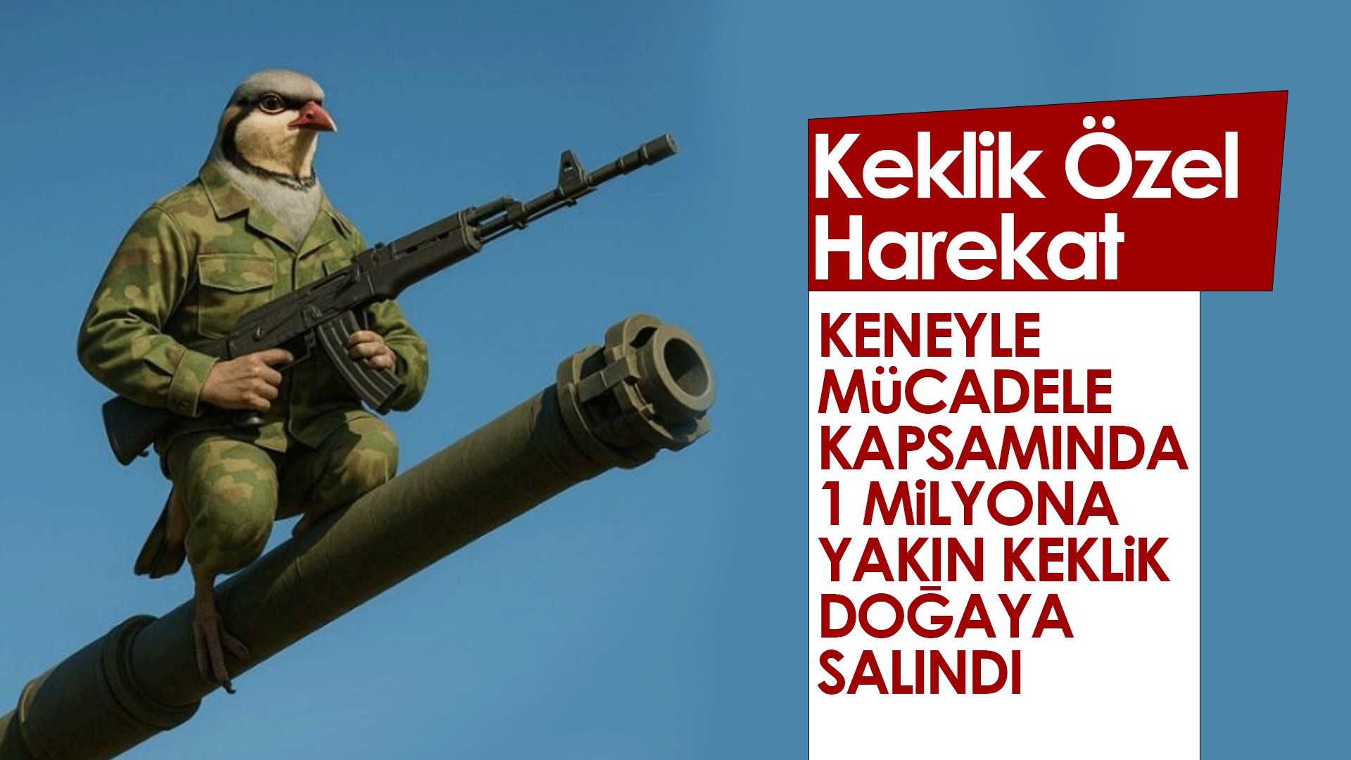 Kenelerle mücadele sürüyor! 1 milyona yakın keklik doğaya salındı!
