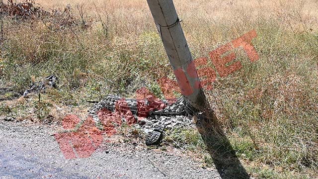 Çöp Kamyonu Aydınlatma Direğine Çarptı Işçinin Kolu Koptu (2)
