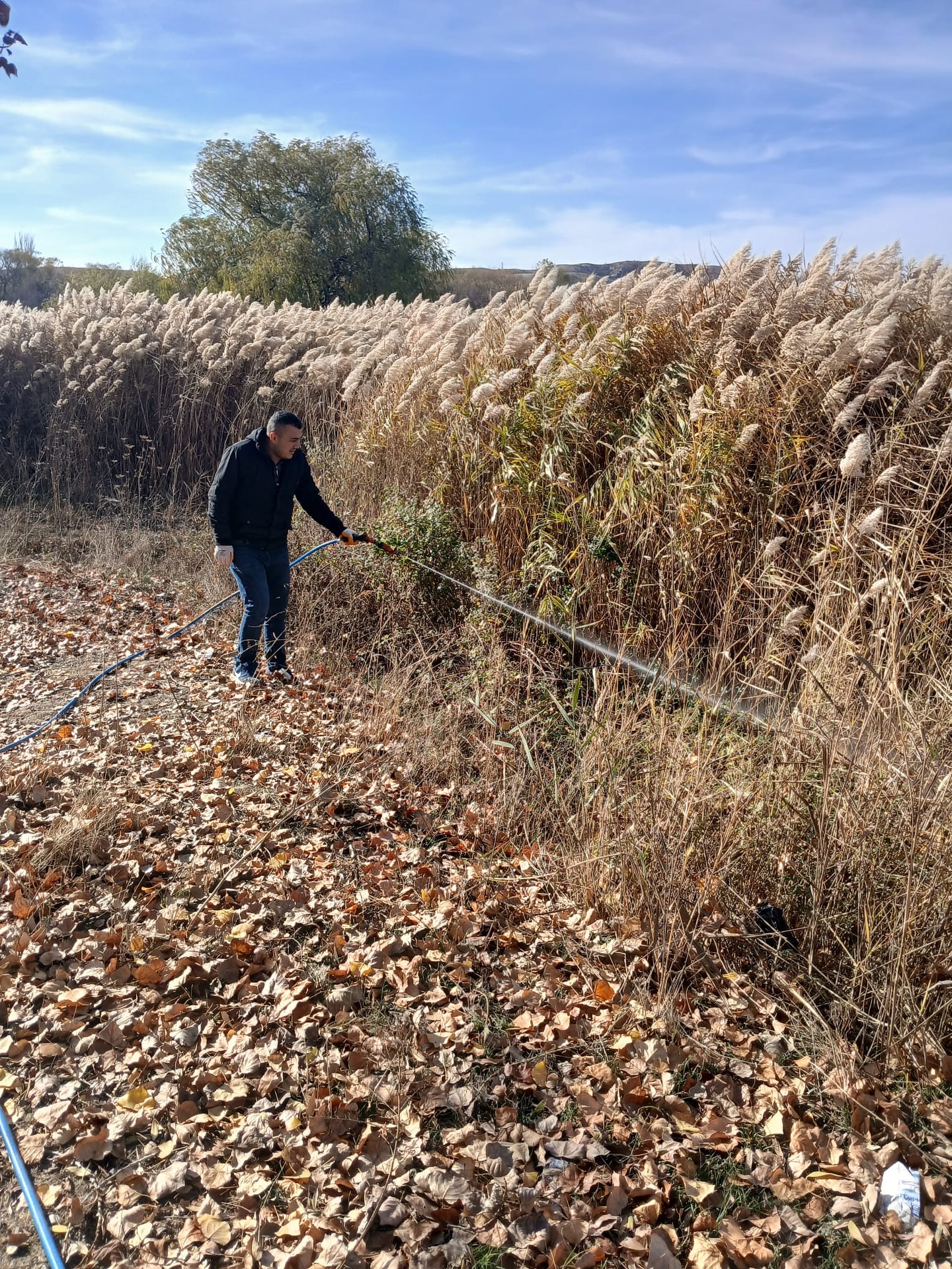 Yahşihan’da Daha Sağlıklı Bir Çevre Için Ilaçlama Yapılıyor-1