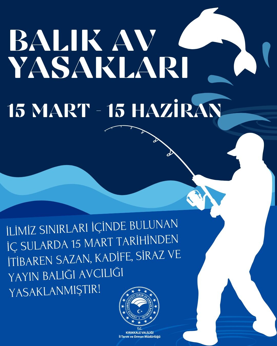 648761467 122165366606822273 3377886007200507262 N