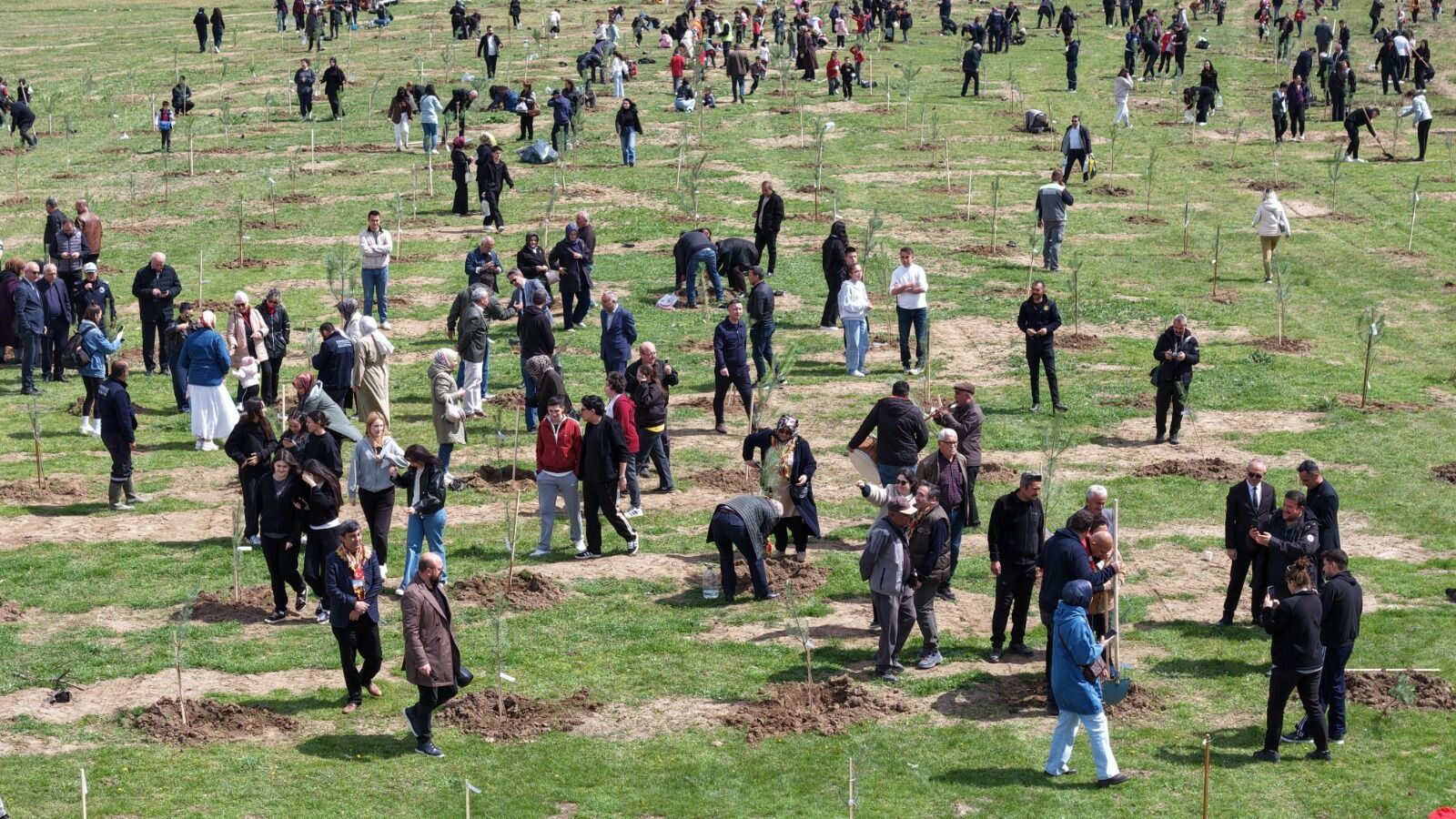 1Aa897E7 2Aeb 4C05 9983 B61Cfe7A8Db4