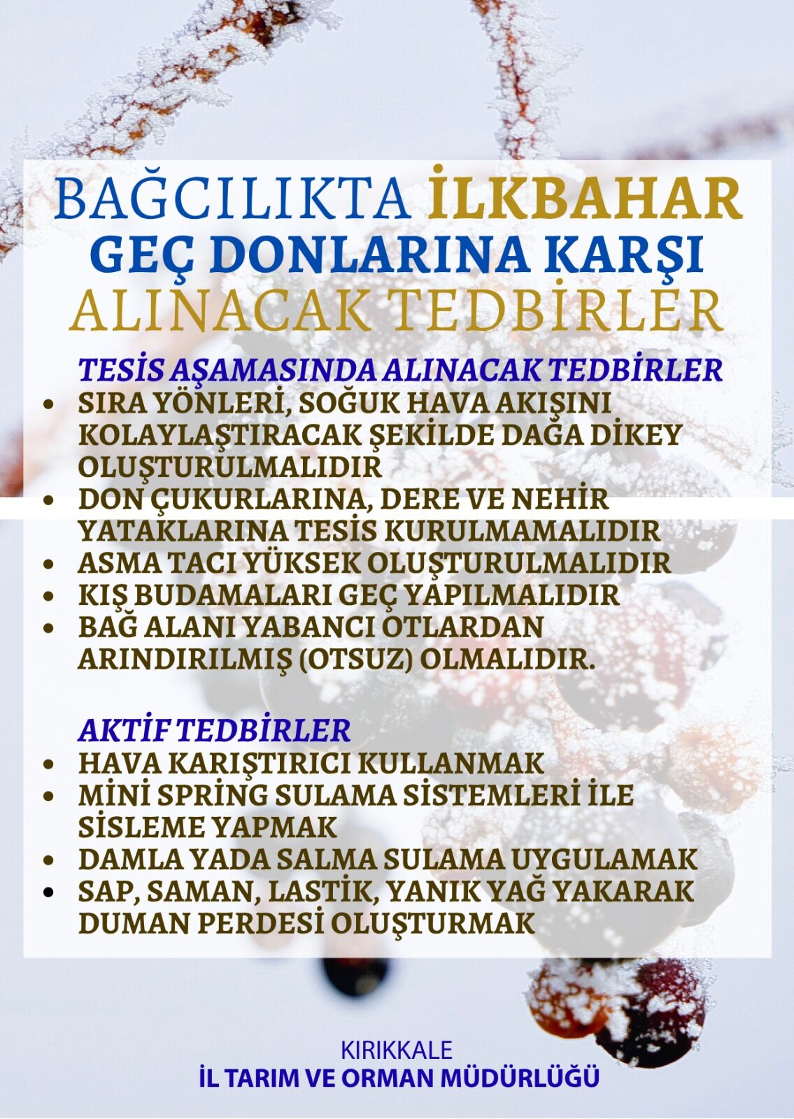 33571D55 1807 43A8 Afa3 Ffc7201B106D