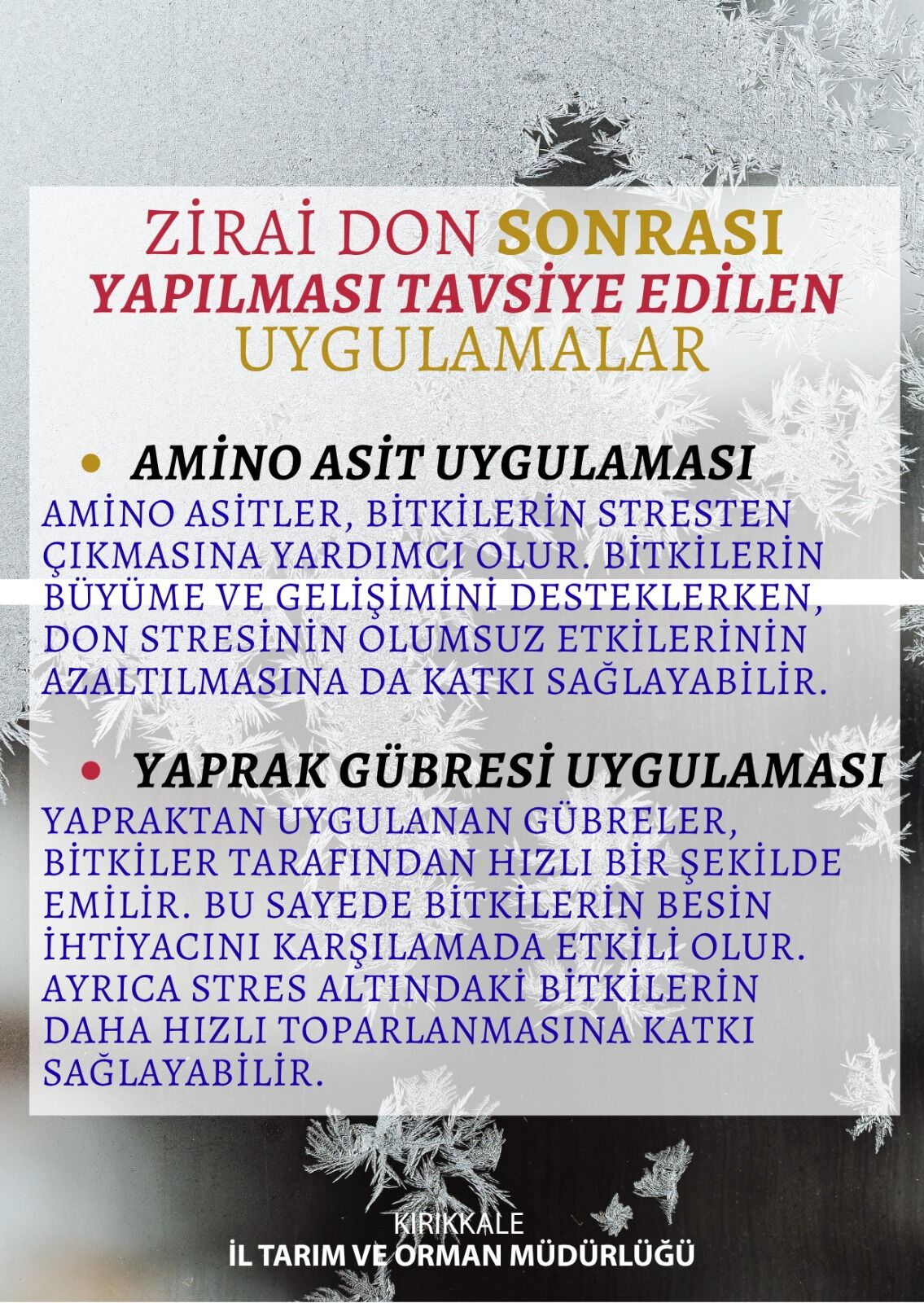 78Af91B7 Ae53 4B6C A010 122B507099D5