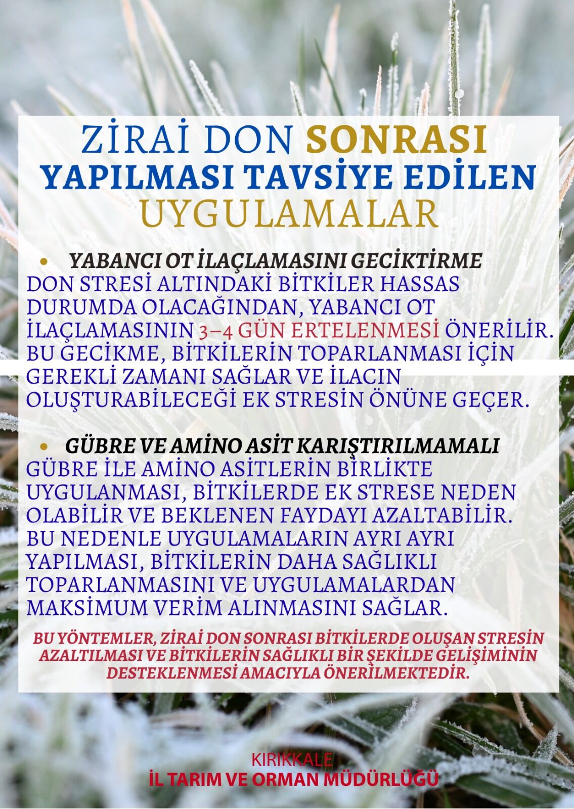 939B5Ccb F83F 483E Aa01 B6Af27Ce1B6C