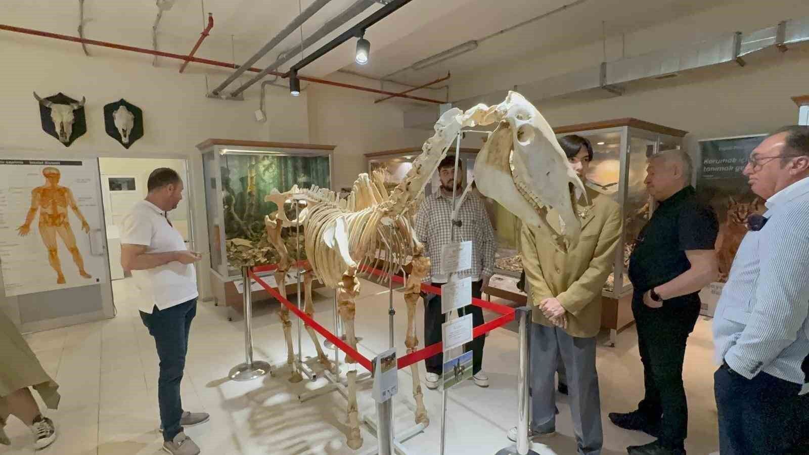 34 bin hayvanın sergilendiği Zooloji Müzesi açıldı