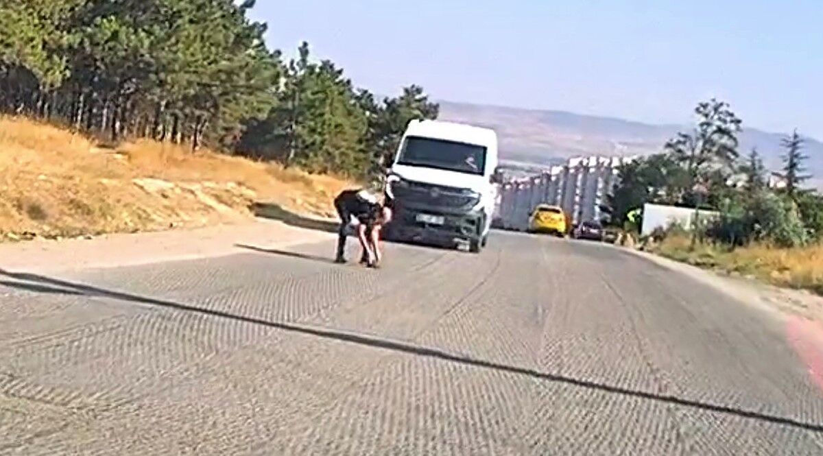 Bir yandan koştu, bir yandan diğer sürücüleri uyardı: Kaplumbağayı ezilmekten kurtardı