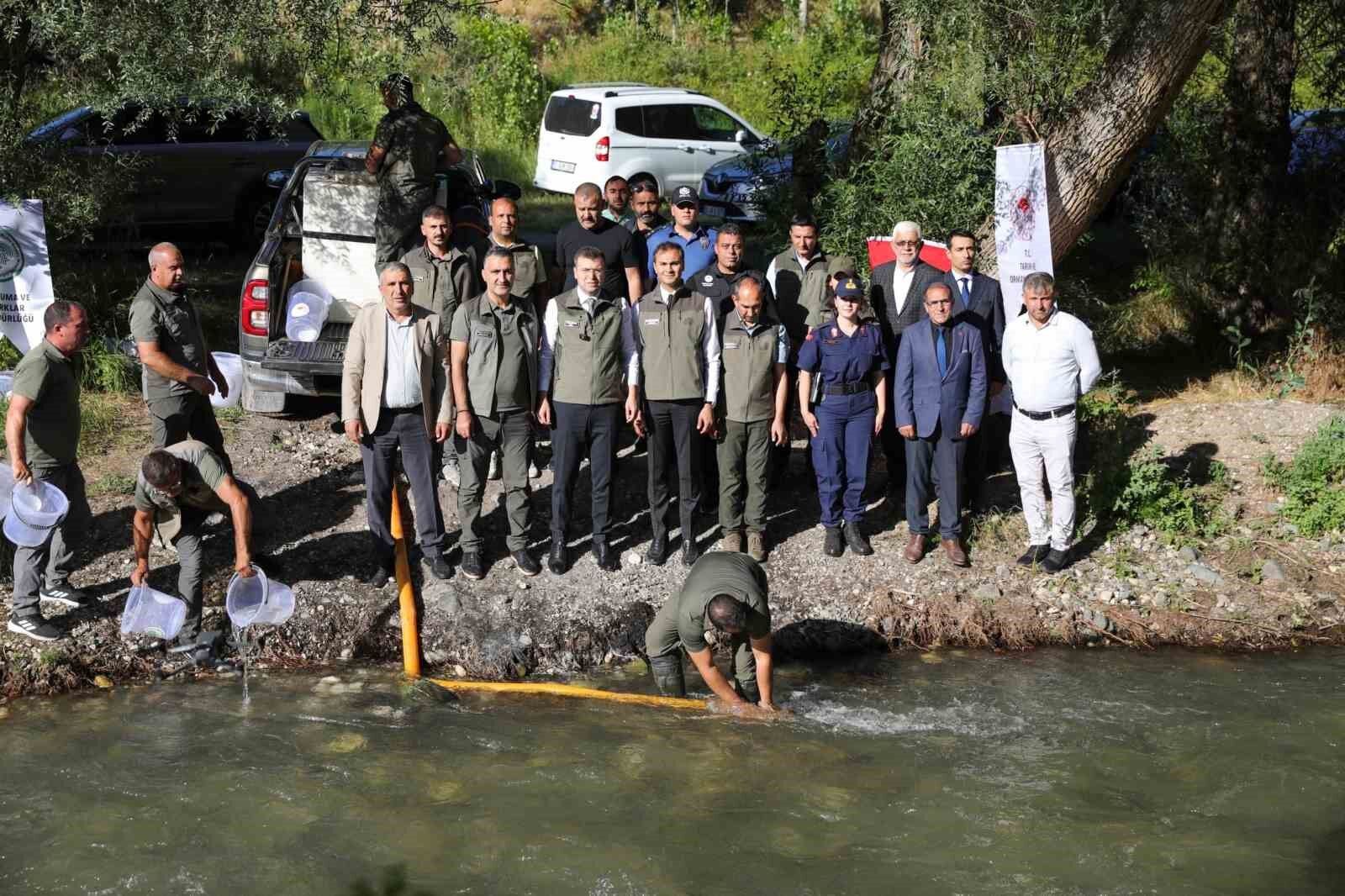Ecemiş Çayı'na 15 bin alabalık yavrusu bırakıldı