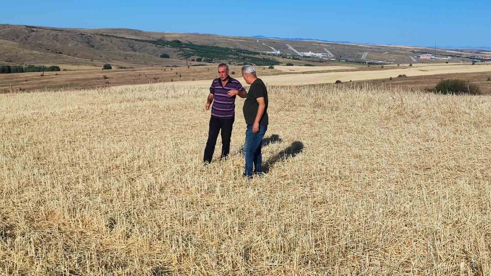 Yozgat'ta bu tarlaları biçerdöver değil dolu biçti