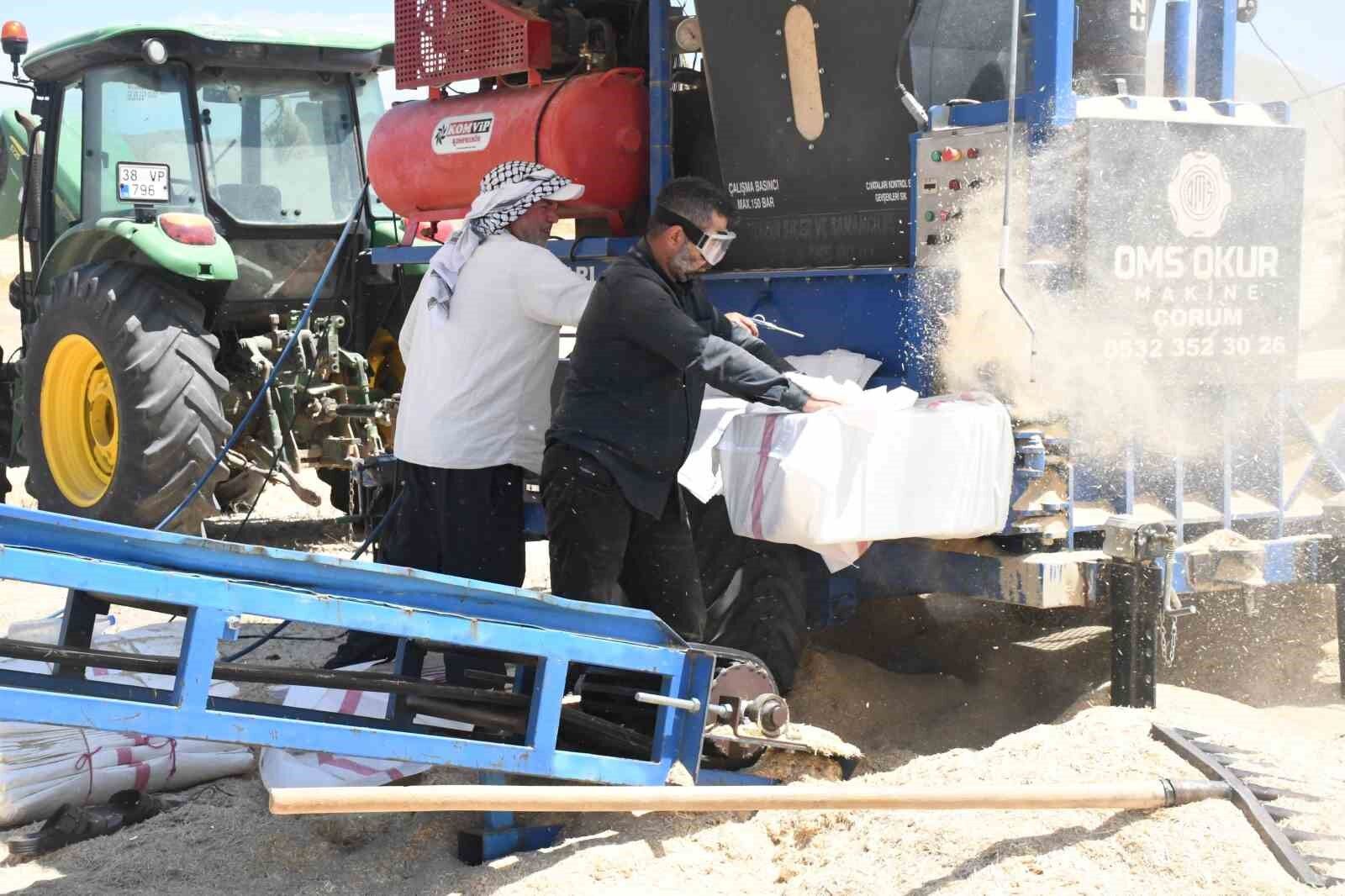 Yozgat'ta saman mesaisi: Tozun içinde ekmek mücadelesi
