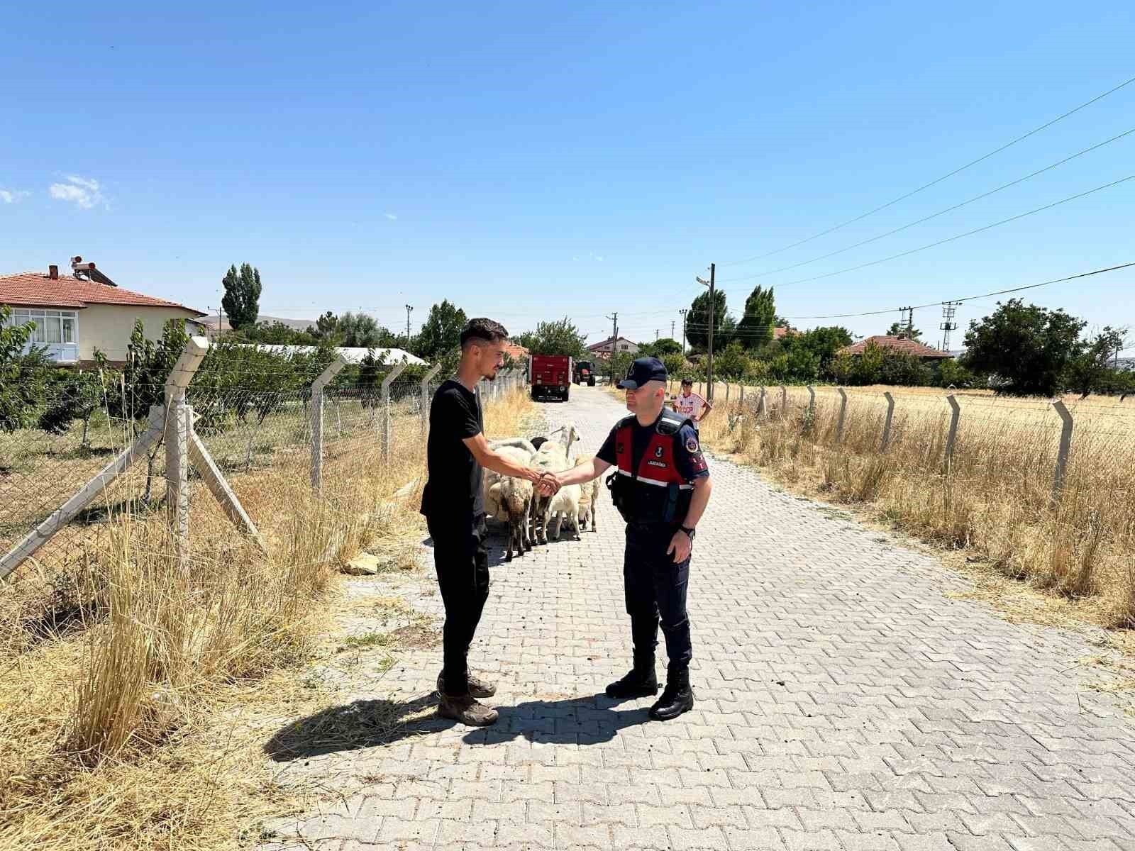 Hayvanları kaybolan çiftçinin yardımına Jandarma ekipleri koştu