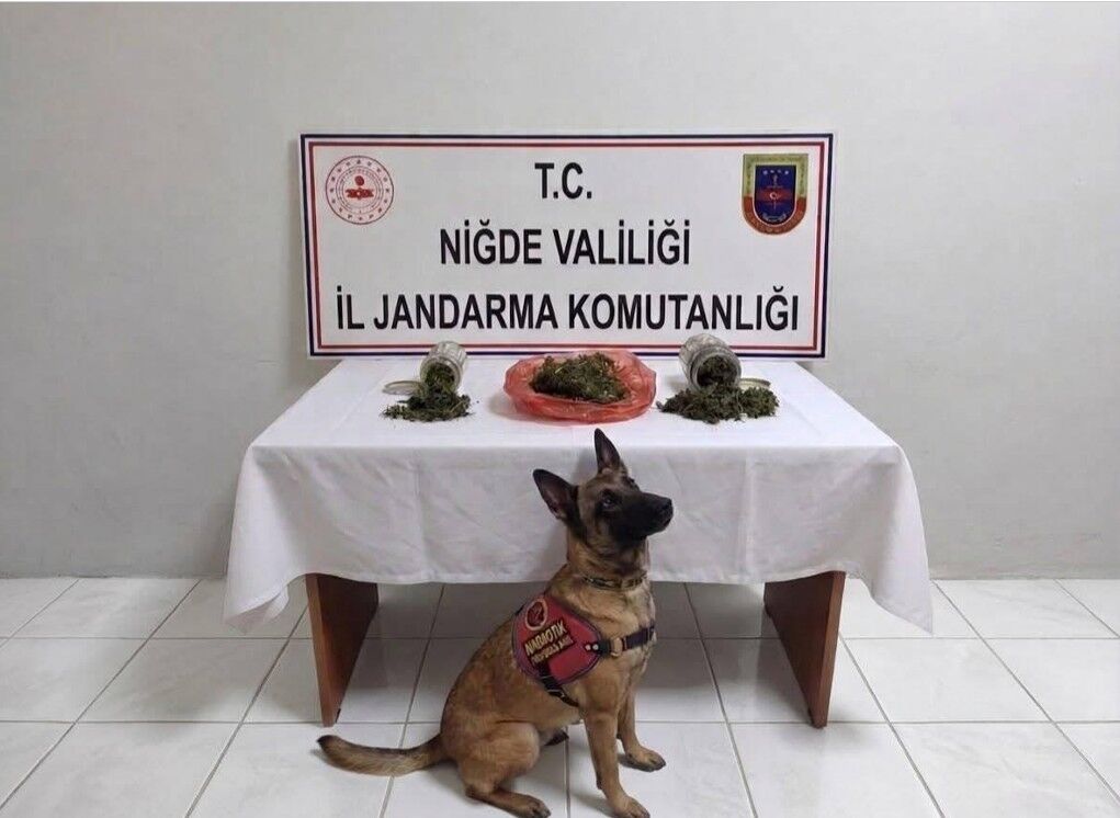 Narkotik operasyonu: 2 şüpheliye işlem yapıldı