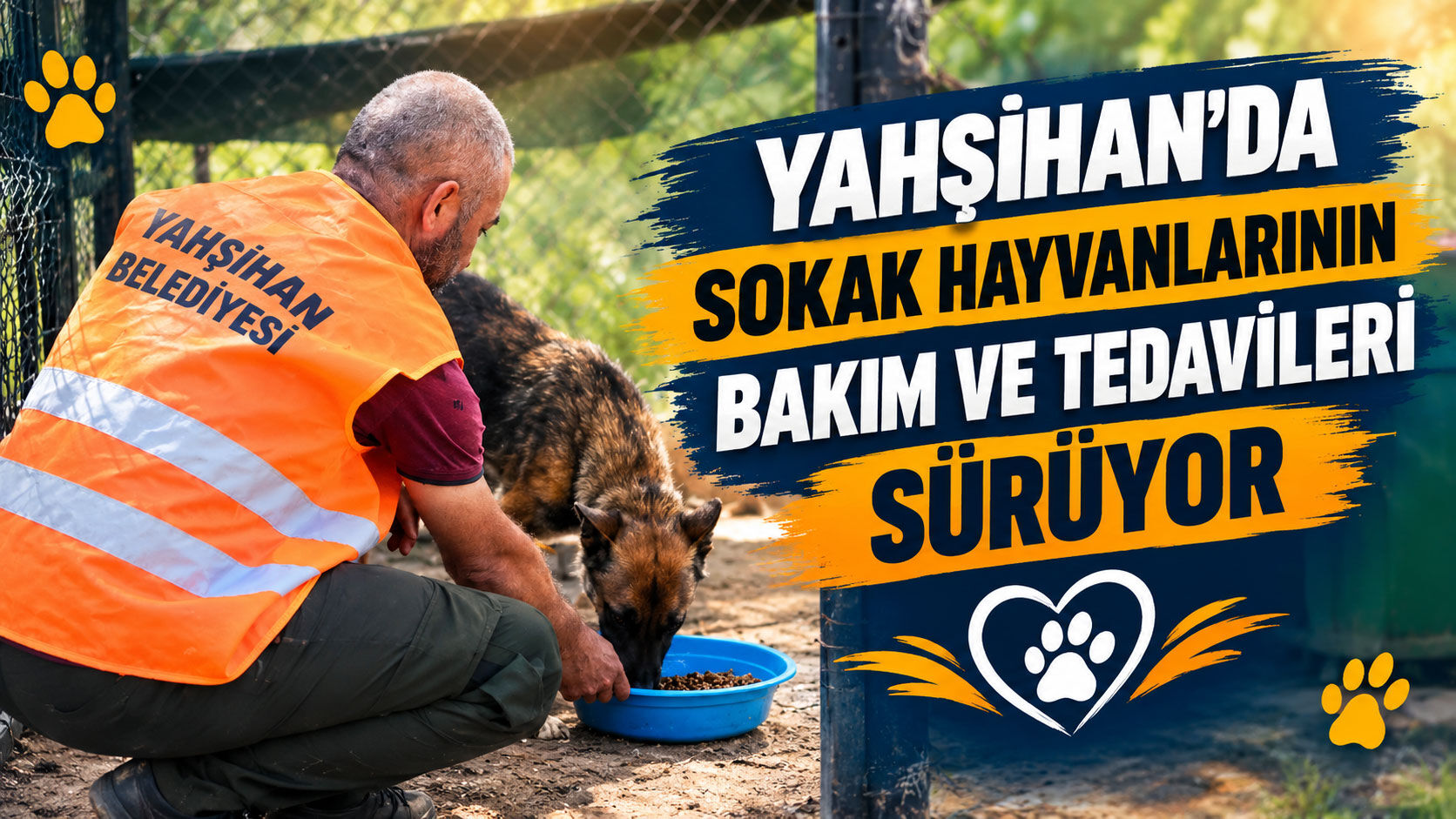Yahşihan’da Can Dostların Bakım ve Tedavileri Sürüyor