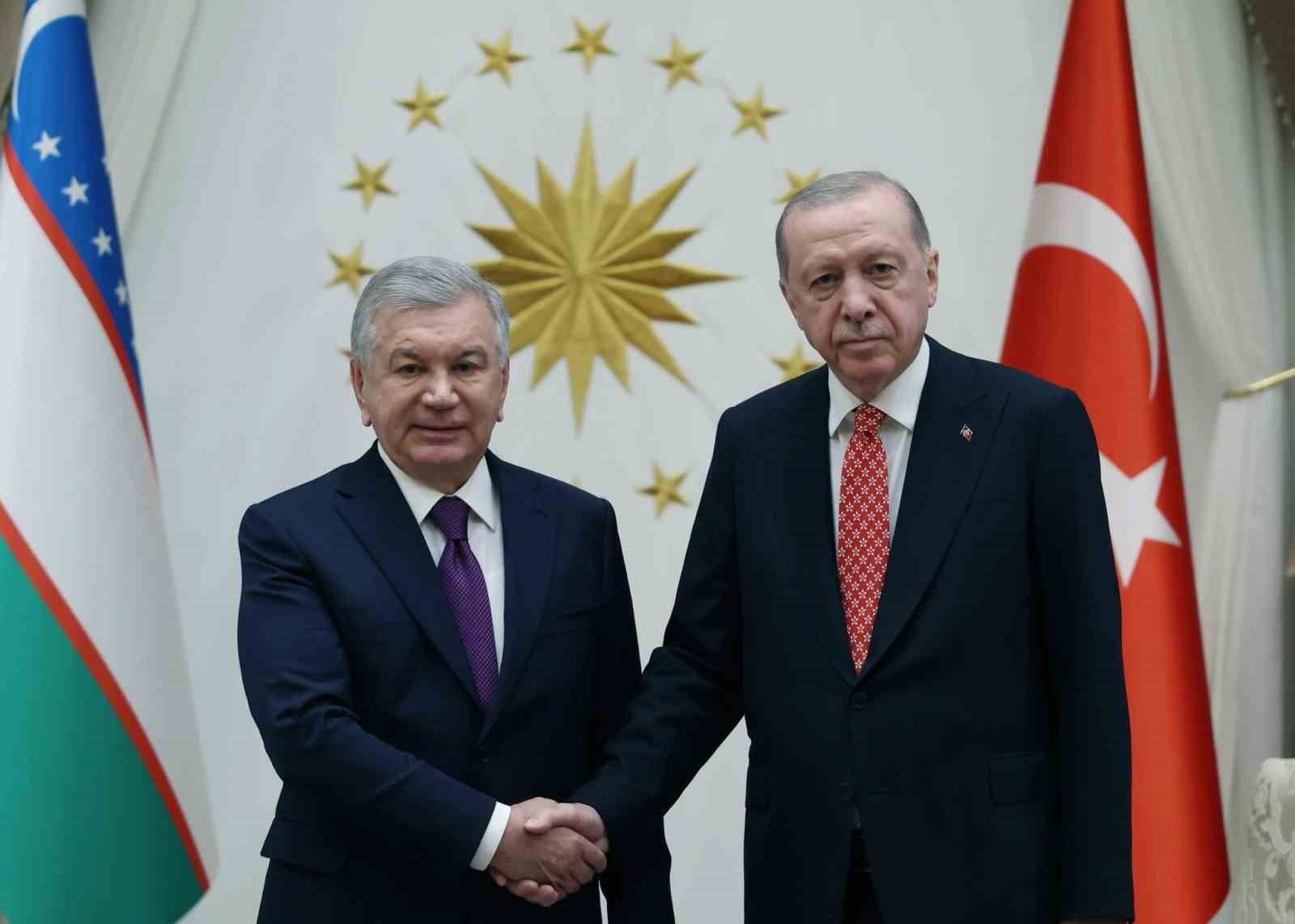 Cumhurbaşkanı Erdoğan, Özbekistan Cumhurbaşkanı Mirziyoyev ile görüştü